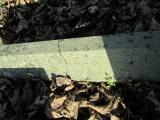 image of grave number 351955